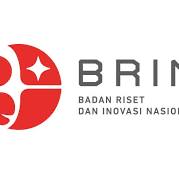 BRIN